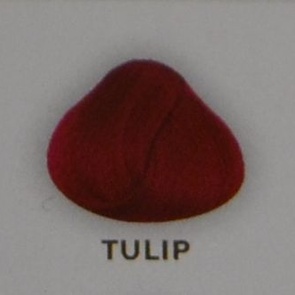 tulip